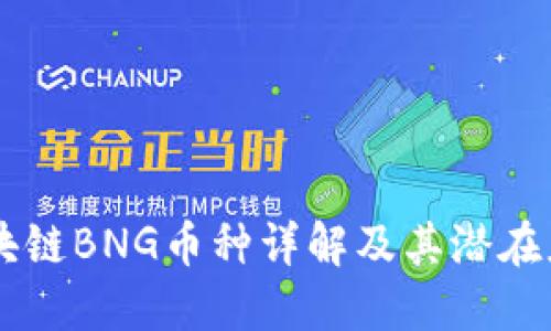 区块链BNG币种详解及其潜在应用